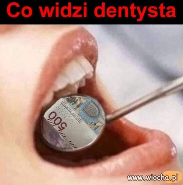 Nikt nikogo nie zmusza