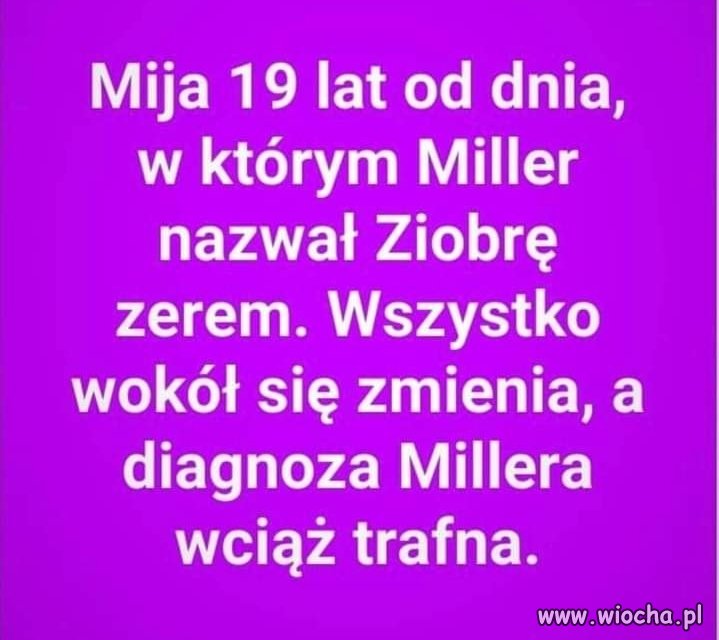 Z.ero