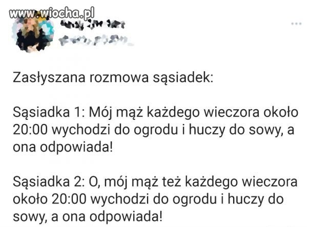 Jak dobrze mieć sąsiada