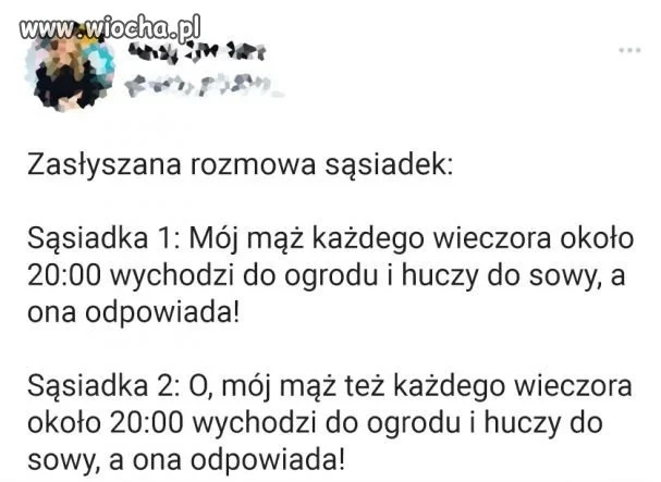 Jak dobrze mieć sąsiada