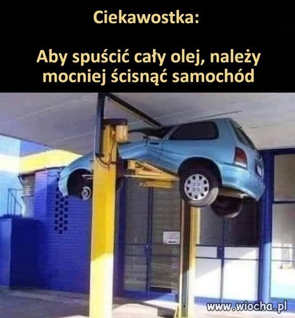 Ciekawostka