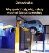 Ciekawostka