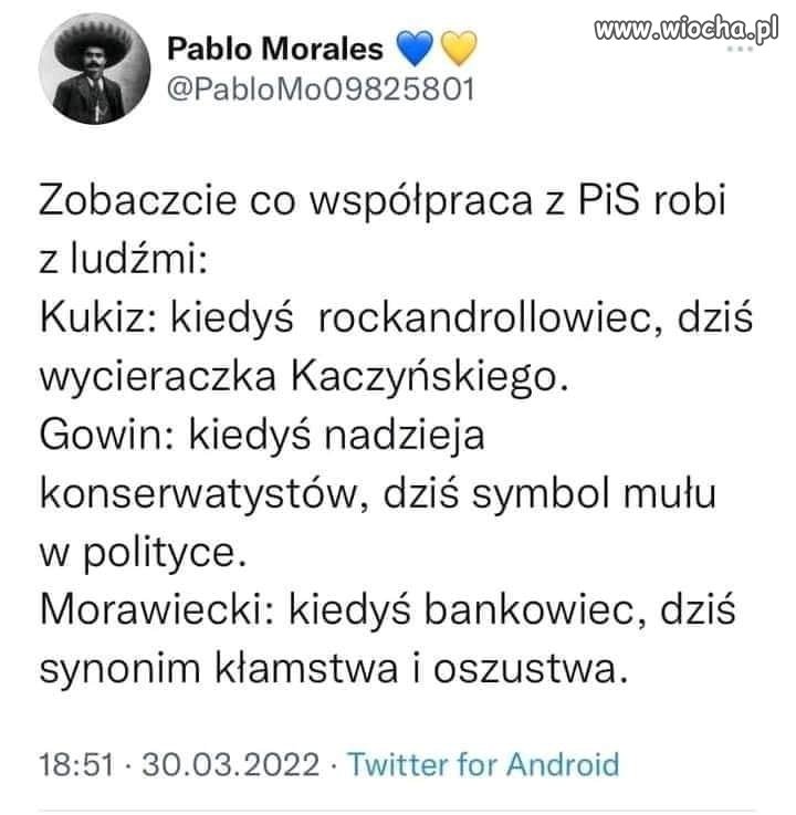 Co robi współpraca z PiS 