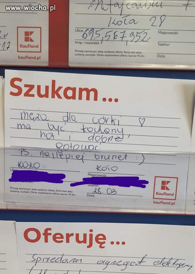 Szuka zięcia 