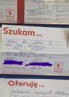 Szuka zięcia 