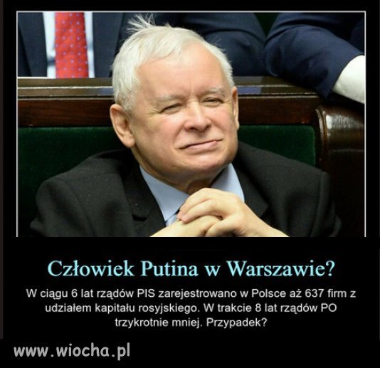Czy jest to pisowska premedytacja,czy pisowska głupota?