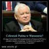 Czy jest to pisowska premedytacja,czy pisowska głupota?