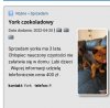 Psiak się znudził