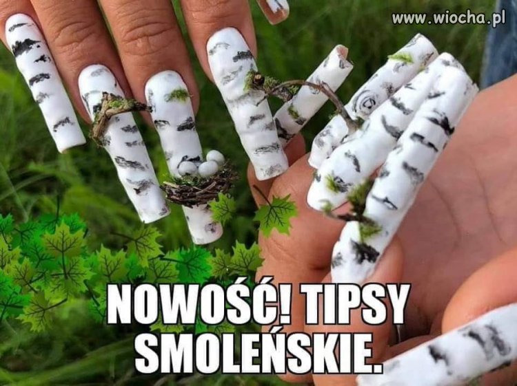 Tipsy patriotyczne, na kieszeń każdej madki.   