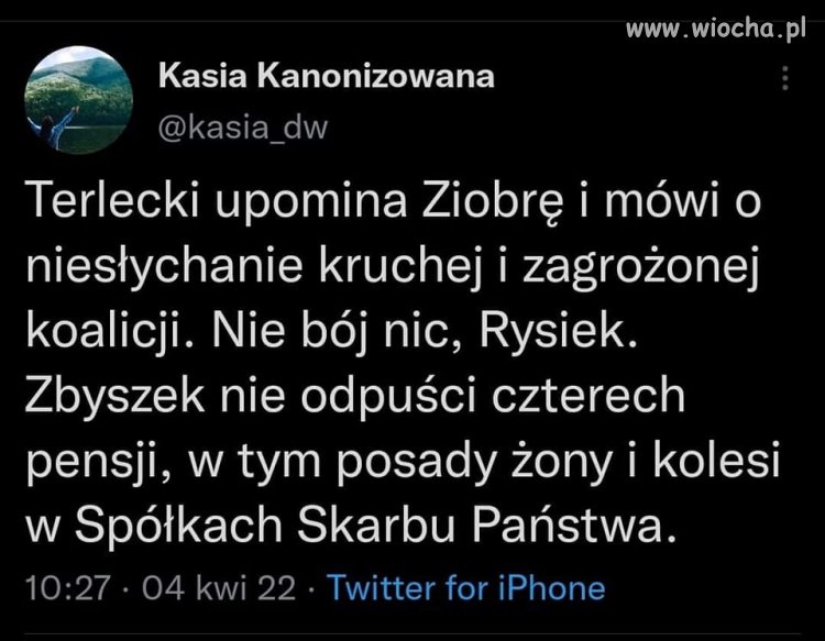 Rychu! Spokojna twoja rozczochrana 