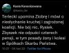 Rychu! Spokojna twoja rozczochrana 