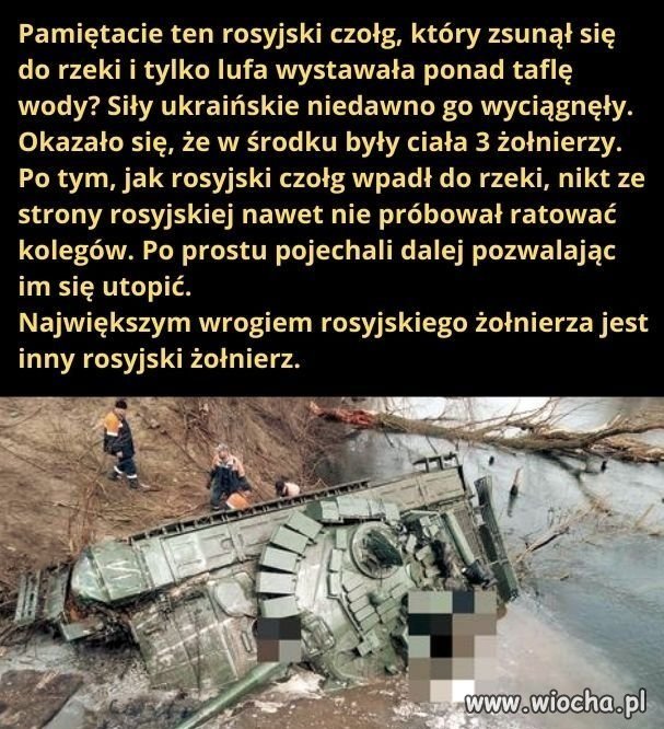 Cała prawda o kacapach