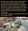 Cała prawda o kacapach