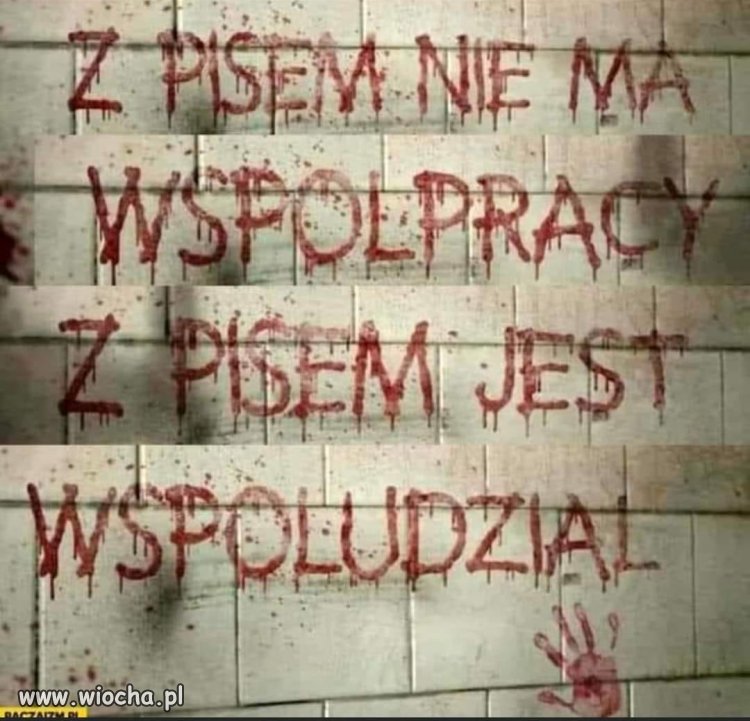 To widać po tym co robi JK