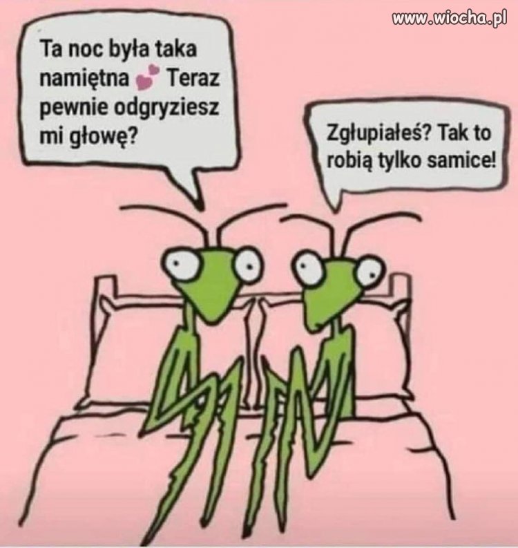 Było namiętnie 