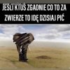 Kto zgadnie