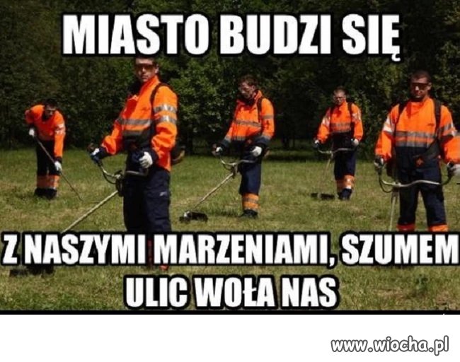 Kosiarze umysłów