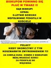 To jednak dzieci są winne pedofilii w sekcie kościoła...