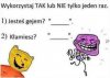 Aby nie dawać polityki i czereśni