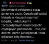 Machający łapami odleciał zupełnie.