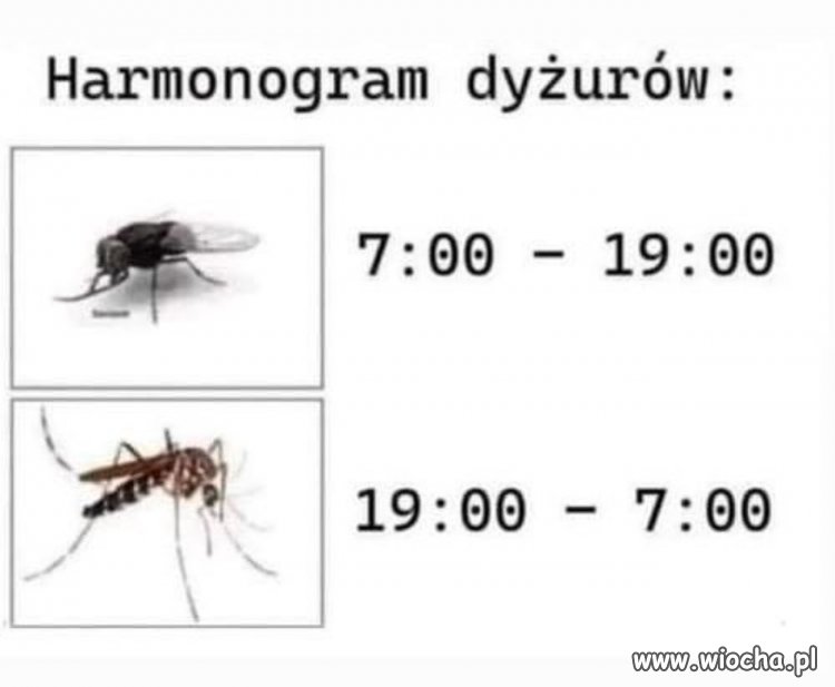 Sezon rozpoczęty
