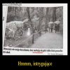 Bezwstydne dinozaury 