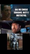 I po co Arnie
