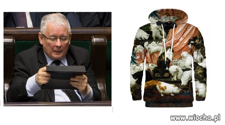 Jaki śliczny...w koteczki