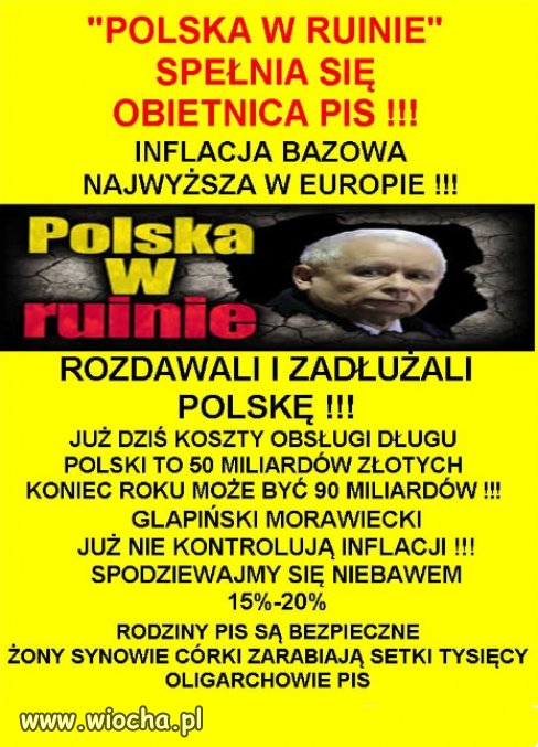 Na glupote elektoratu PiSu nie ma lekarstwa, ani szczepionki!