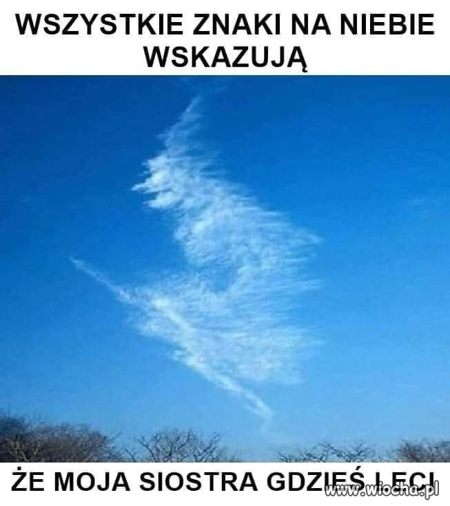 Potwierdzam