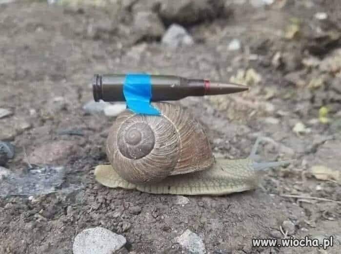 Niemcy dostarczają broń Ukrainie 
