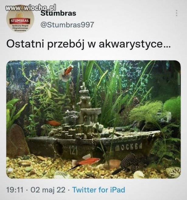 Hit sezonu
