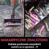 Może to 