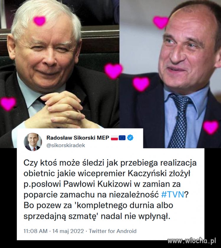 Pytanie dnia 