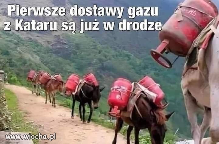 ☆☆☆☆☆ ☆☆☆