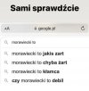 Google w praktyce