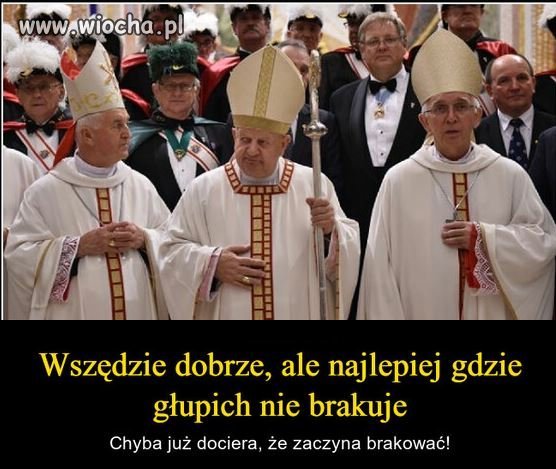 Irlandia się im wszędzie zapowiada