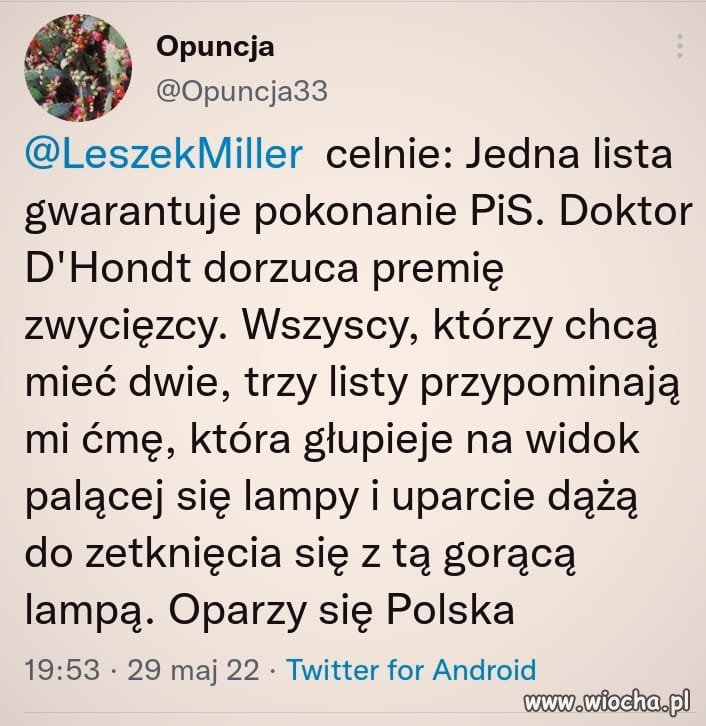 Jak te ćmy 