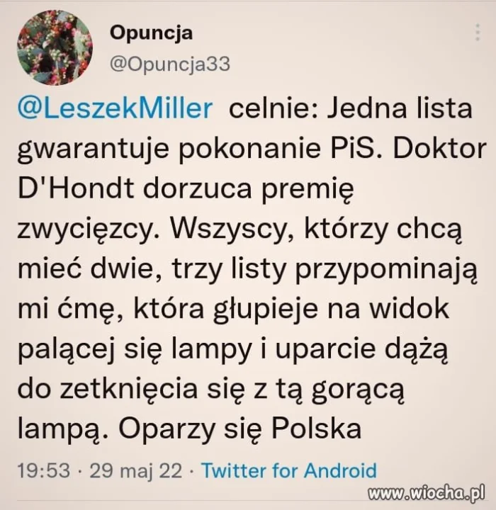 Jak te ćmy 