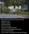 I to właśnie