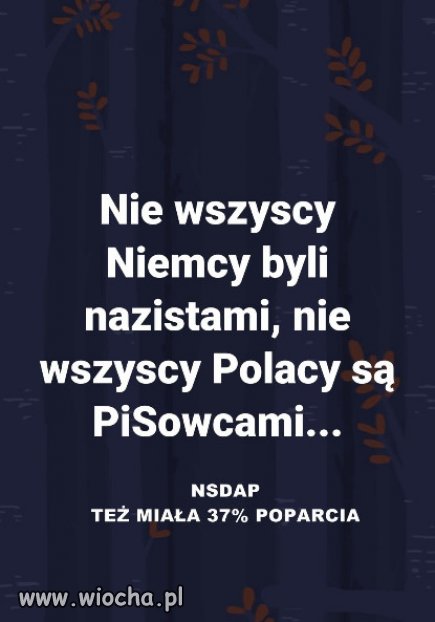 Pewnie ktos sie dziwi ze Niemcy popierali Hitlera.
