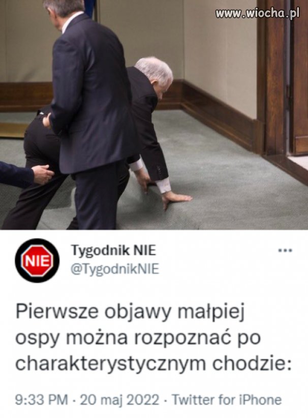 Małpia ospa 