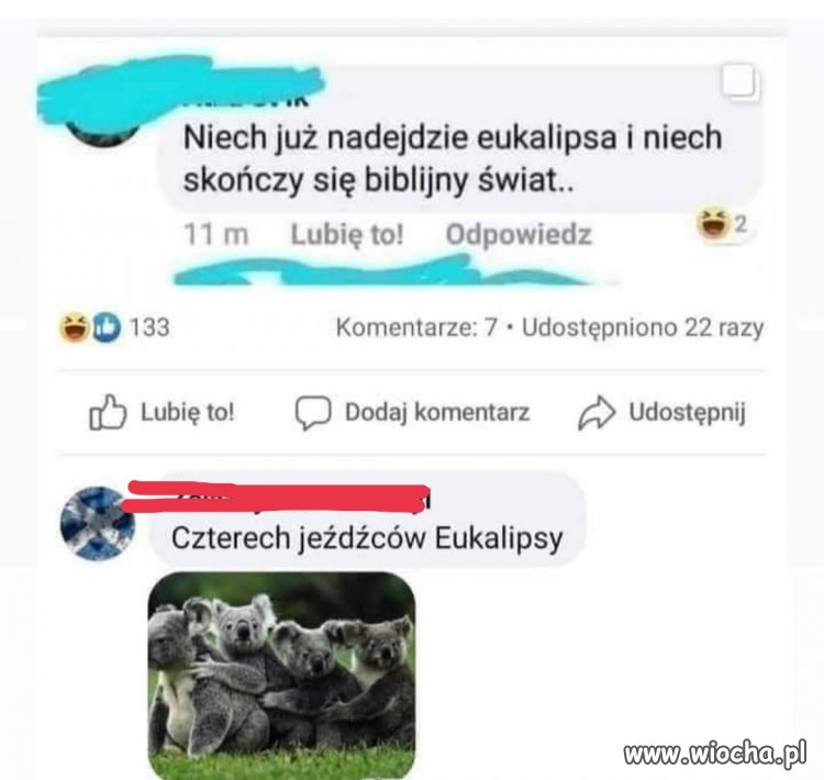 Znalezione 