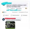 Znalezione 