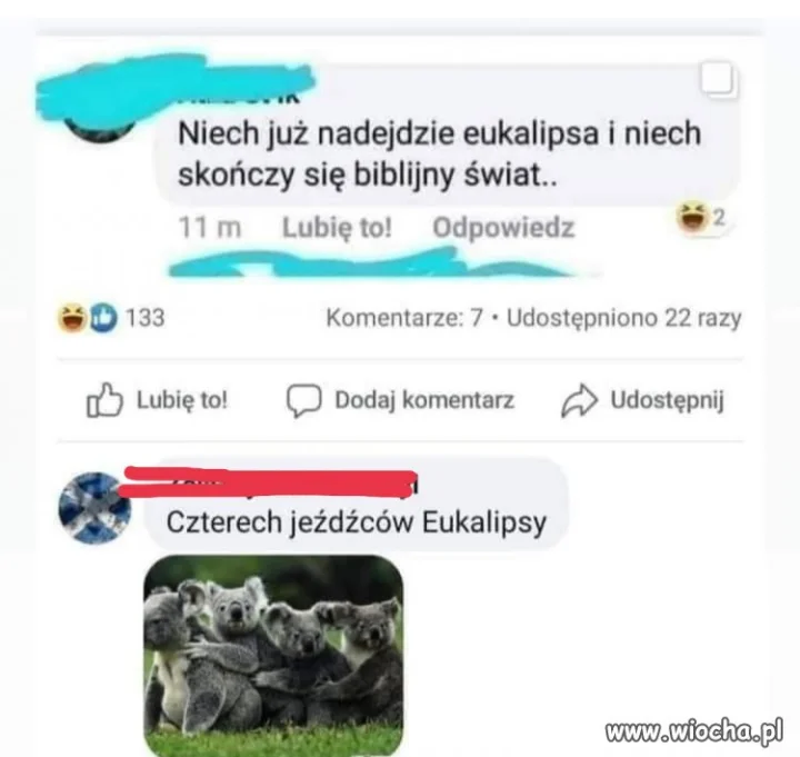 Znalezione 