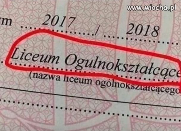 Za chwilę świadectwa