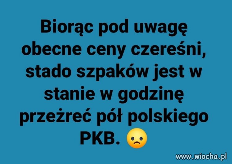 Polski PKB