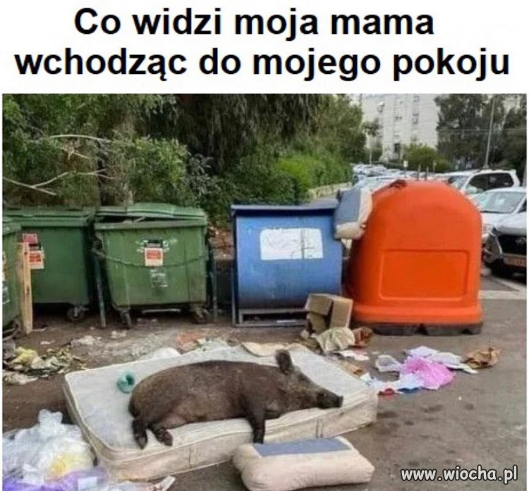 Co widzi mama