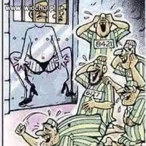 Dowcipnisie