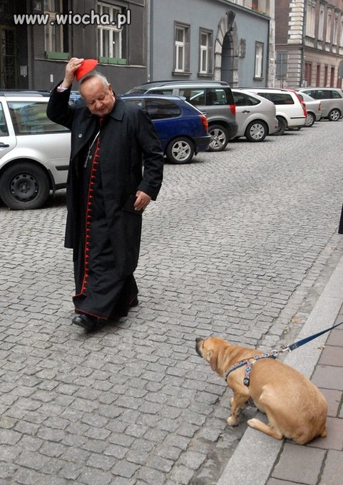 Psy szczekają ,karawana jedzie dalej